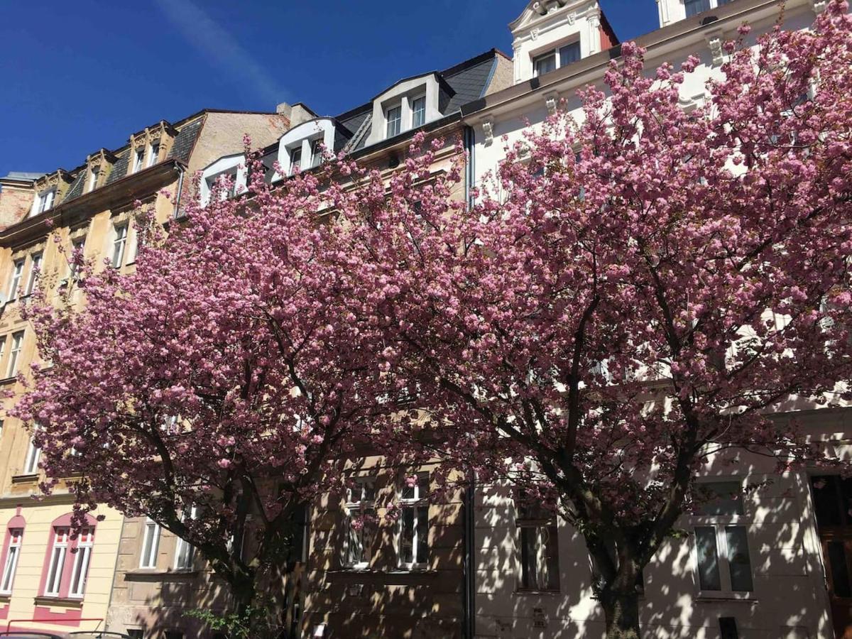 Apartmany Jizdarenska Karlsbad Buitenkant foto